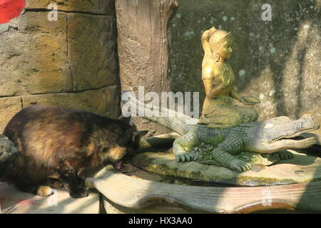 Big Buddha siede sulla vetta più alta delle colline nakkerd in ao chalong. 45 metro di altezza statua in marmo bianco visibile da qualsiasi punto nel sud di phuket. Foto Stock