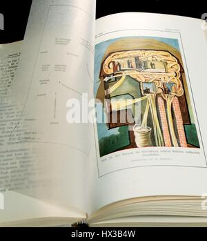 Aprire medico testo che mostra un disegno di anatomia del cervello e del sistema nervoso, 1900. La cortesia Libreria Nazionale di Medicina.