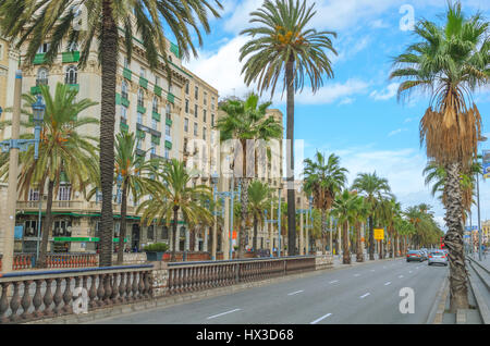 Vetture al via, nel tardo pomeriggio a Barcellona. Palm strada alberata con appartamento condominio & immobili le persone si incontrano in una presso il cafe al di là della strada. Foto Stock