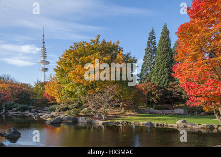 Hamburg : Japanische Garten mit Fernsehturm im Herbst ho giardino giapponese in autunno, Amburgo, Germania, Europa Foto Stock