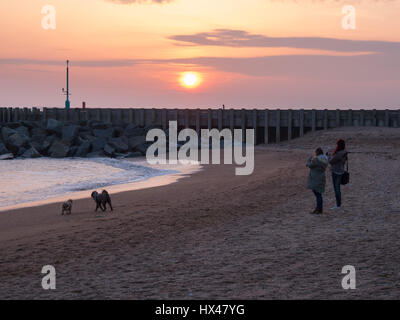 Westbay, Dorset, Regno Unito. Il 24 marzo 2017. Due donne a prendere le foto di due cani come il cloud infine si cancella e un vago ma colorato tramonto segue. Con un meteo alto insieme a seguire e temperature più calde previsto per questo fine settimana. © Dan Tucker/Alamy Live News Foto Stock