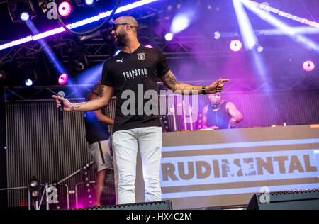 Melbourne, Australia. 25 marzo, 2017. Australian Formula 1 Grand Prix, Melbourne, AUS. 25 Mar, 2017. Rudimentali live al Gran Premio d'Australia. Credito: Charlie Raven/Alamy Live News Foto Stock