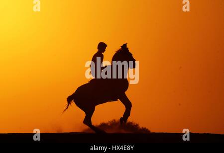 Di Allahabad, Uttar Pradesh, India. 25 Mar, 2017. Di Allahabad: una gioventù godendo di cavallo durante il tramonto in Allahabad su 25-03-2017. foto di prabhat kumar verma Credito: Prabhat Kumar Verma/ZUMA filo/Alamy Live News Foto Stock