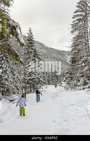 Percorso escursionistico in Strazyska Valley vicino a Zakopane, Tatra National Park, Polonia Foto Stock