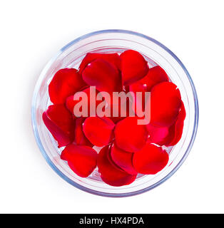 Bella rosa rosa petali di fiori in vaso di vetro isolato su bianco Foto Stock