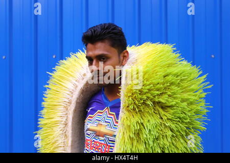 Dacca 23 marzo 2017. Un lavoratore visualizza il foraggio idroponica sul Bangladesh Consiglio di ricerca scientifica e industriale del campus in Dhaka. Foto Stock