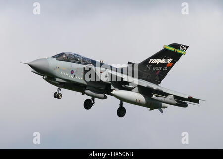 La RAF Tornado contrassegnati per il XXV anniversario del tipo a servizio del Regno Unito passando per la terra a RAF Marham. Foto Stock