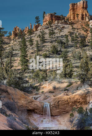 Grotta di muschio cade nel Bryce Canyon scorre con snow melt dal canyon sopra Foto Stock