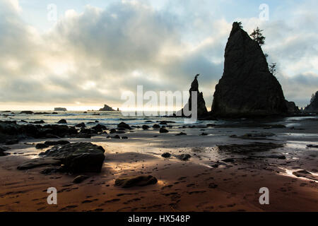 Rialto spiaggia al tramonto. La spingere Washington USA il parco nazionale di Olympic Foto Stock