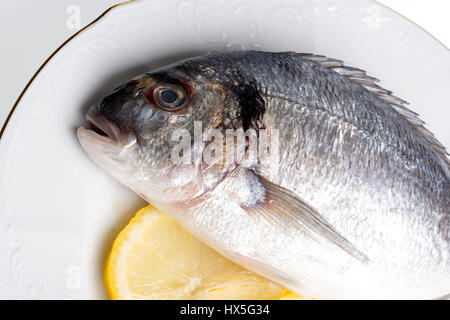 Pesce crudo e limone su un colore bianco porcellana piastra con rivestimento dorato Foto Stock