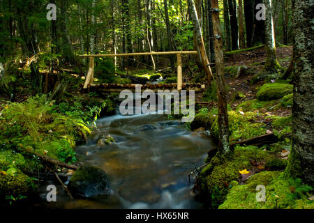 Un rustico ponte di legno si estende un flusso impetuoso nel Parco Nazionale di Acadia vicino a Bar Harbor, Maine. Foto Stock