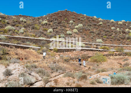 TENERIFE - 8 ottobre: Escursionisti tra euforbia delle Canarie cactus in Tenerife, Spagna su Ottobre 8, 2014 Foto Stock