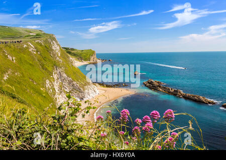 Guardando verso il basso nelle limpide acque dell'uomo O'guerra Bay dalla lunga distanza South West Coast Path sulla Jurassic Coast, Dorset, Inghilterra Foto Stock