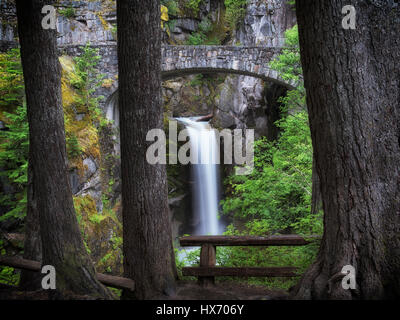 Christine Falls e ponte. Mt. Rainier National Park, Washington Foto Stock