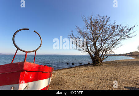 Un colorato in barca e un albero di quercia lungo la riva del lago di Bracciano, vicino Roma, Italia Foto Stock