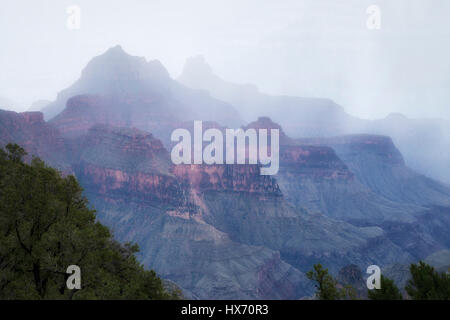 Tempesta di pioggia. Il Bright Angel Point, North Rim. Parco Nazionale del Grand Canyon. Foto Stock