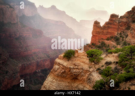 Tempesta a Cape Royal. Parco Nazionale del Grand Canyon, Arizona Foto Stock
