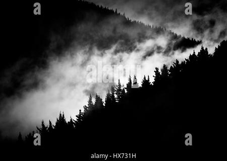 La nebbia in valle di montagna Foto Stock