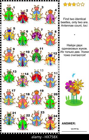 Visual puzzle: trovare due identici e coleotteri. Risposta inclusa. Illustrazione Vettoriale