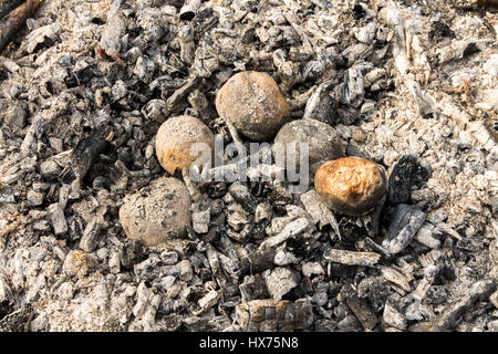 Cottura delle patate. Patate al forno a fuoco. Patate in carboni. Foto Stock