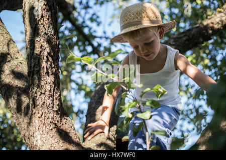 Ritratto all'aperto: bellissimo piccolo ragazzo seduto su un albero e l'azienda Apple Foto Stock