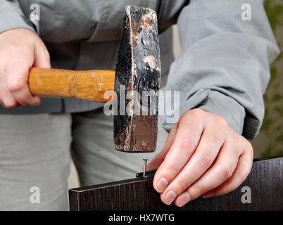 Montaggio di mobili, installazione di accoglienza del processo del lavoro, closeup martello nelle mani del lavoro colpisce il chiodo. Il fissaggio in plastica piedini di mobili in Foto Stock