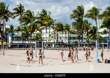 Miami Beach Florida, Ocean Drive, Lummus Park, palme, Beach volley, campo da pallavolo, uomo uomo maschio, donna donna donne, giovane adulto, bikini, sport, gioco, tè Foto Stock