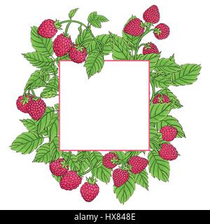 Cornice fatta di lamponi sui rami su uno sfondo bianco. Lampone dark linea tracciata e dipinte in colori luminosi. Disegnato a mano illustratio vettore Illustrazione Vettoriale