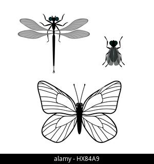 Set di insetti (butterfly, dragonfly, volare) eseguite in uno stile semplice. Isolato su sfondo bianco. Illustrazione Vettoriale Illustrazione Vettoriale