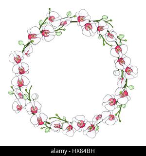 Round ghirlanda naturale o telaio di rami con fiori delicati di orchidee bianche su sfondo bianco, disegnati a mano. Fiori colorati Phalaenopsi bianco Illustrazione Vettoriale