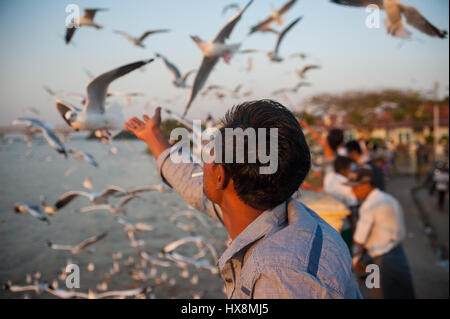 30.01.2017, mawlamyine, repubblica dell' Unione di Myanmar, asia - Un uomo alimenta i gabbiani nel lungomare mawlamyine. Foto Stock