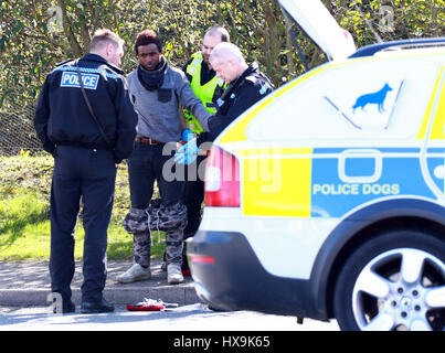 Peterborough, Regno Unito. 25 Mar, 2017. Gli immigrati illegali . Peterborough, CAMBRIDGESHIRE . Marzo 25, 2017. Cambridgeshire polizia arrestato un carrello dalla Repubblica ceca dopo che il conducente ha squillato loro di dire loro che egli pensava che ci potrebbero essere le persone all'interno. La polizia ha trovato 3 uomini che hanno iniziato il loro viaggio in Eritrea, Africa orientale. Il loro viaggio illegale finito in Peterborough, CAMBRIDGESHIRE. Credito: Paolo Marriott/Alamy Live News Foto Stock