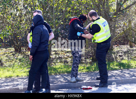 Peterborough, Regno Unito. 25 Mar, 2017. Gli immigrati illegali . Peterborough, CAMBRIDGESHIRE . Marzo 25, 2017. Cambridgeshire polizia arrestato un carrello dalla Repubblica ceca dopo che il conducente ha squillato loro di dire loro che egli pensava che ci potrebbero essere le persone all'interno. La polizia ha trovato 3 uomini che hanno iniziato il loro viaggio in Eritrea, Africa orientale. Il loro viaggio illegale finito in Peterborough, CAMBRIDGESHIRE. Credito: Paolo Marriott/Alamy Live News Foto Stock