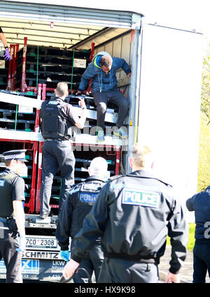 Peterborough, Regno Unito. 25 Mar, 2017. Gli immigrati illegali . Peterborough, CAMBRIDGESHIRE . Marzo 25, 2017. Cambridgeshire polizia arrestato un carrello dalla Repubblica ceca dopo che il conducente ha squillato loro di dire loro che egli pensava che ci potrebbero essere le persone all'interno. La polizia ha trovato 3 uomini che hanno iniziato il loro viaggio in Eritrea, Africa orientale. Il loro viaggio illegale finito in Peterborough, CAMBRIDGESHIRE. Credito: Paolo Marriott/Alamy Live News Foto Stock