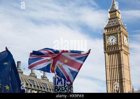 Londra, Regno Unito. 25 Mar, 2017. Gli attivisti di rimanere nell'Unione europea prendere parte nel mese di marzo per l'Europa. Decine di migliaia di persone hanno sfilato da Park Lane per un rally in piazza del Parlamento affrontati dagli oratori tra cui Tim Farron MP, Alastair Campbell, David Lammy MP e Nick Clegg MP. Credito: Mark Kerrison/Alamy Live News Foto Stock