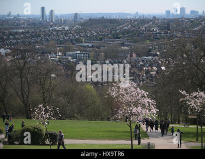 Londra, Regno Unito. 26 Mar, 2017. Una splendida giornata di primavera rosa con la fioritura e la città di Londra in background Credito: Paolo Quezada-Neiman/Alamy Live News Foto Stock