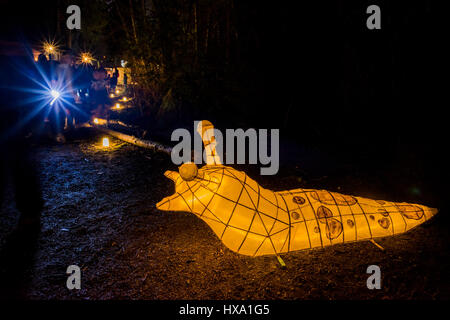 Vancouver, BC, Canada. Xxv Marzo 2017. Banana slug lanterna, notte natura quest evento lanterna, spirito pacifico Parco Regionale, Vancouver, British Columbia, Canada. Credito: Michael Wheatley/Alamy Live News Foto Stock