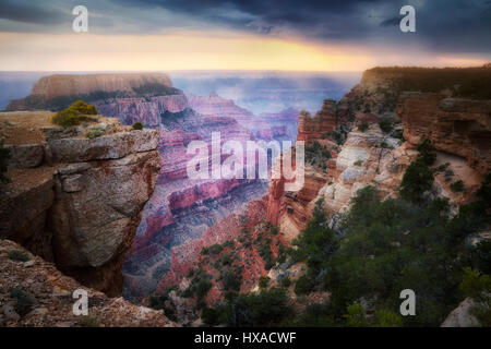 Albero della luce che risplende attraverso thunderstromon Wotons sul trono. Cape Royal. Parco Nazionale del Grand Canyon, Arizona Foto Stock