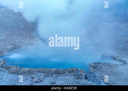 Beryl molla. Parco Nazionale di Yellowstone, Wyoming Foto Stock