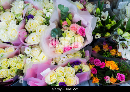 I grappoli di diverse colorate di rose in vendita e sul visualizzatore in corrispondenza di un fioraio. Foto Stock