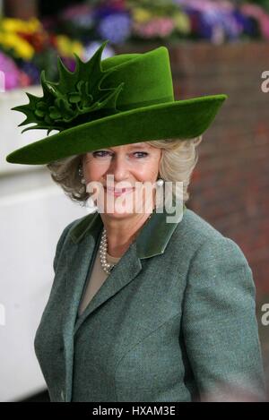 CAMILLA duchessa di Cornovaglia moglie del principe Charles 17 marzo 2006 CHELTENHAM RACECOURSE CHELTENHAM Foto Stock