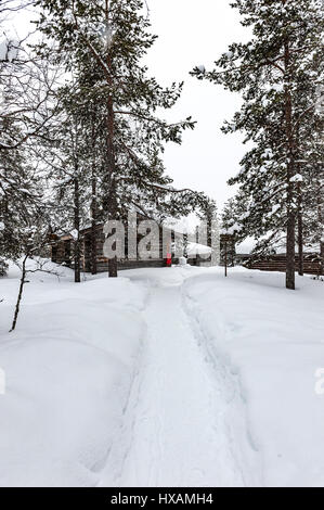 Scena di neve, Kakslauttanen Arctic Resort, Finlandia Foto Stock