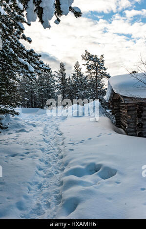 Scena di neve, Kakslauttanen Arctic Resort, Finlandia Foto Stock