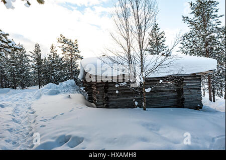 Scena di neve, Kakslauttanen Arctic Resort, Finlandia Foto Stock