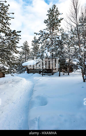 Scena di neve, Kakslauttanen Arctic Resort, Finlandia Foto Stock