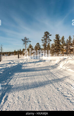Scena di neve, Kakslauttanen, Finlandia Foto Stock