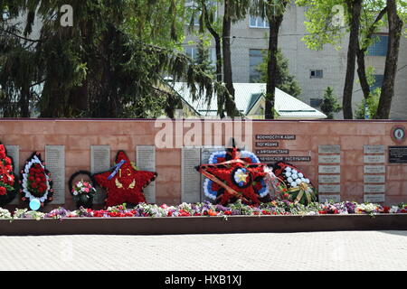 Villaggio POLTAVA. 9 Maggio 2015: i cui fiori a un monumento in onore di una vittoria sul giorno 9 maggio. Tradizioni patriottica. Foto Stock