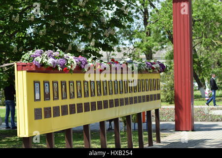 Villaggio POLTAVA. 9 Maggio 2015: i cui fiori a un monumento in onore di una vittoria sul giorno 9 maggio. Tradizioni patriottica. Foto Stock