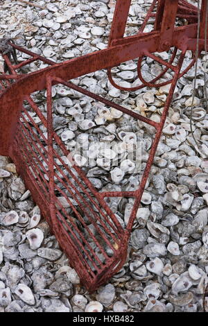 Oyster Dredge e Oyster Shells sono tipicamente utilizzati nell'industria della pesca di Chesapeake Bay. Foto Stock