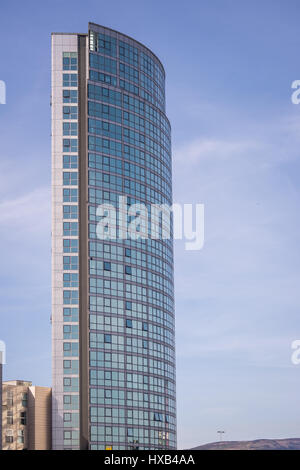 Un petalo 6 giallo daffodil molle a Belfast, Irlanda. Foto Stock